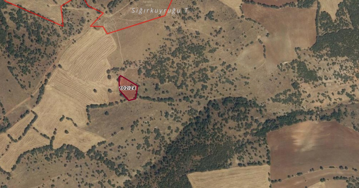 AFYONKARAHİSAR HOCALAR İHSANİYE KÖYÜNDE 2.038M² TARLAMIZ SATILIK - AFYONKARAHİSAR HOCALAR fotoğraf 2
